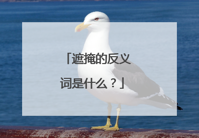 遮掩的反义词是什么?