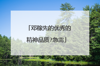 邓稼先的优秀的精神品质?急需