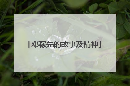 邓稼先的故事及精神