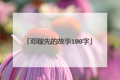 邓稼先的故事100字
