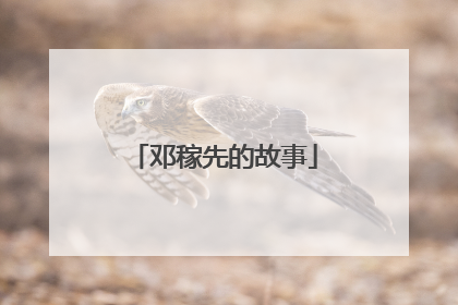 邓稼先的故事