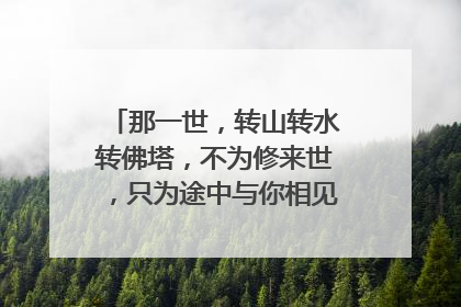 那一世,转山转水转佛塔,不为修来世,只为途中与你相见。 这首诗的全文是什么呢?谢谢