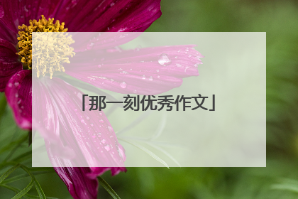 那一刻优秀作文