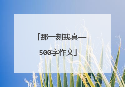 那一刻我真——500字作文