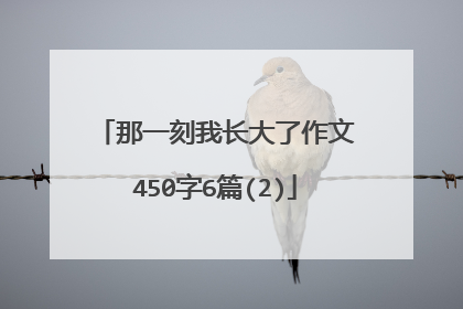 那一刻我长大了作文450字6篇(2)