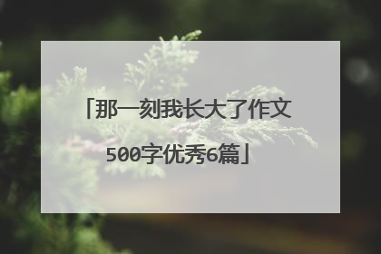 那一刻我长大了作文500字优秀6篇