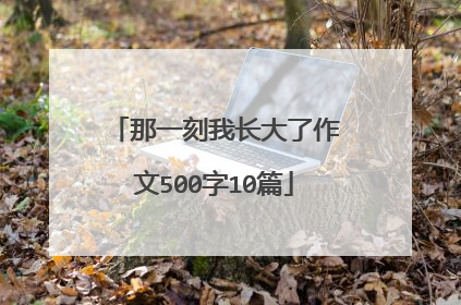 那一刻我长大了作文500字10篇