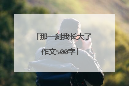 那一刻我长大了作文500字