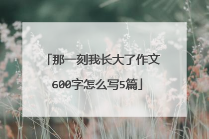 那一刻我长大了作文600字怎么写5篇