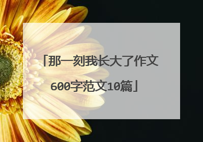 那一刻我长大了作文600字范文10篇