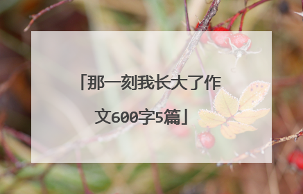 那一刻我长大了作文600字5篇