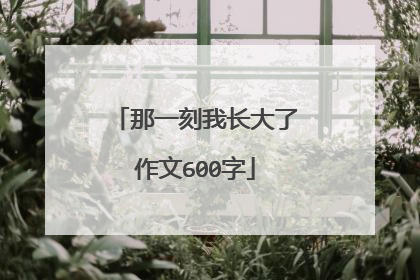 那一刻我长大了作文600字