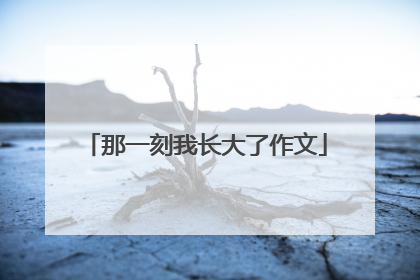 那一刻我长大了作文