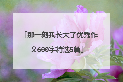 那一刻我长大了优秀作文600字精选5篇
