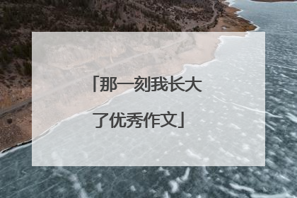 那一刻我长大了优秀作文