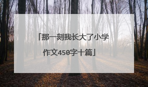 那一刻我长大了小学作文450字十篇