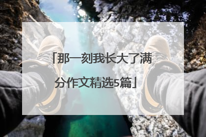 那一刻我长大了满分作文精选5篇