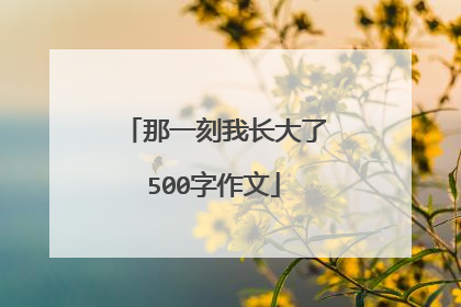 那一刻我长大了500字作文