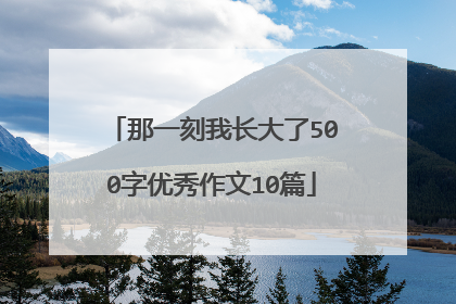 那一刻我长大了500字优秀作文10篇