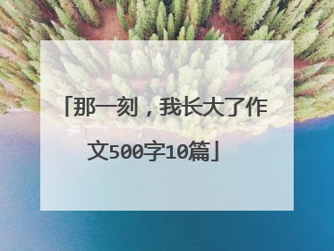 那一刻,我长大了作文500字10篇