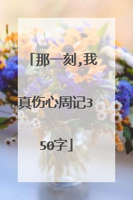 那一刻,我真伤心周记350字