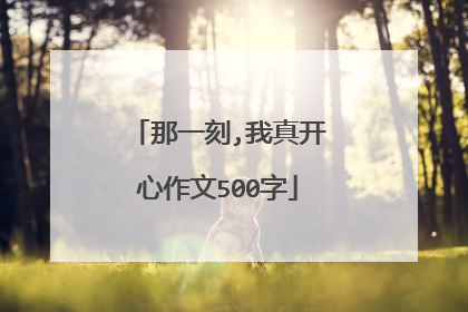 那一刻,我真开心作文500字