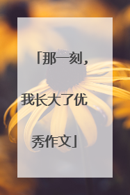 那一刻,我长大了优秀作文