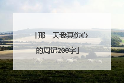 那一天我真伤心的周记200字