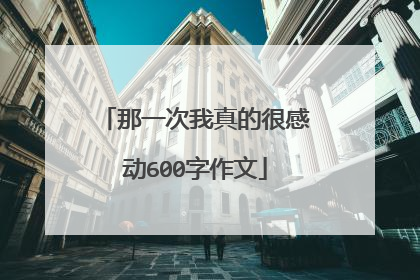 那一次我真的很感动600字作文
