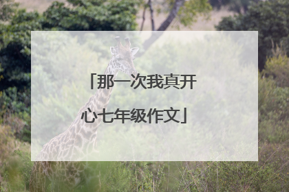 那一次我真开心七年级作文