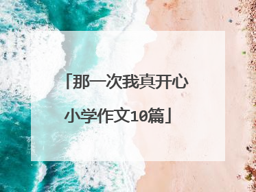 那一次我真开心小学作文10篇