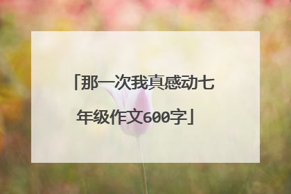 那一次我真感动七年级作文600字
