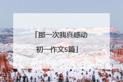 那一次我真感动初一作文5篇