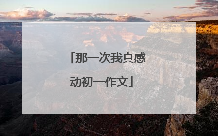 那一次我真感动初一作文