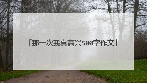那一次我真高兴500字作文