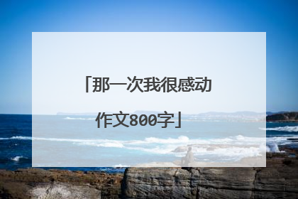 那一次我很感动作文800字
