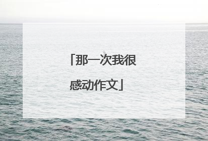 那一次我很感动作文