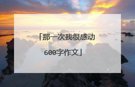 那一次我很感动600字作文
