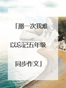 那一次我难以忘记五年级同步作文