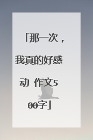 那一次,我真的好感动 作文500字
