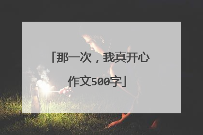 那一次，我真开心 作文500字