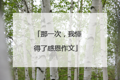那一次，我懂得了感恩作文