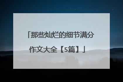 那些灿烂的细节满分作文大全【5篇】