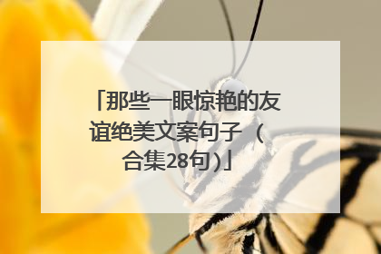 那些一眼惊艳的友谊绝美文案句子 (合集28句)