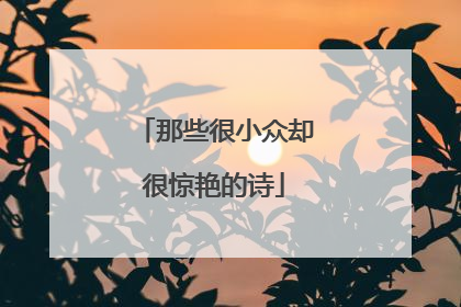 那些很小众却很惊艳的诗