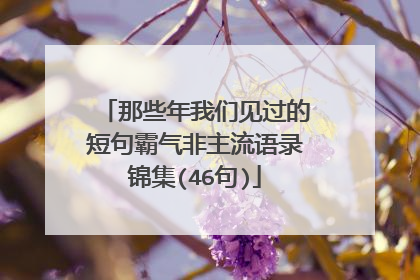 那些年我们见过的短句霸气非主流语录锦集(46句)