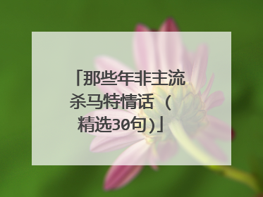 那些年非主流杀马特情话 (精选30句)