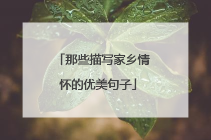 那些描写家乡情怀的优美句子