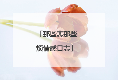 那些悲那些烦情感日志