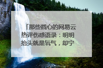 那些戳心的网易云热评伤感语录：明明抬头就是氧气，却宁愿孤独到窒息